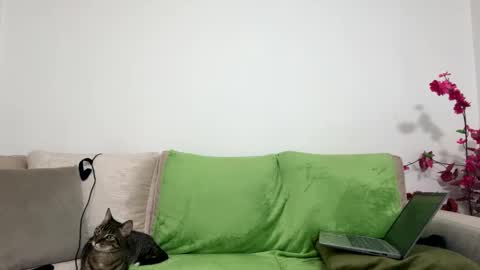 Snapshot of alejo__twinkboy chatting on 01/30/25, 08:11 alejo__twinkboy online show from 01/30/25, 08:11