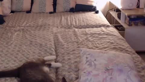 Snapshot of alessandra_foxy chatting on 02/28/25, 02:20 Sandra online show from 02/28/25, 02:20