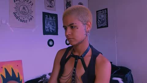 Snapshot of alex_one888 chatting on 03/12/26, 07:20 Alex online show from 03/12/26, 07:20