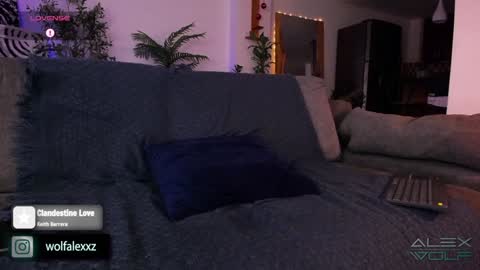 Alex Wolf online show from 01/16/25, 02:41