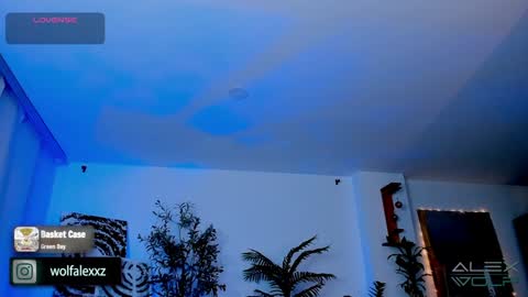 Alex Wolf online show from 01/17/25, 05:21