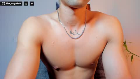 Snapshot of alex_zt7 chatting on 07/11/26, 09:05 x online show from 07/11/26, 09:05