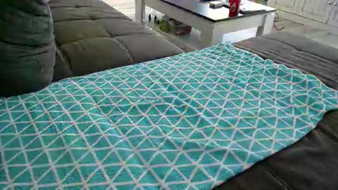 Snapshot of alexfresh84 chatting on 12/24/24, 11:49 Doggystyle online show from 12/24/24, 11:49