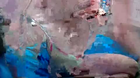 Snapshot of alexfresh84 chatting on 12/25/24, 06:52 Doggystyle online show from 12/25/24, 06:52