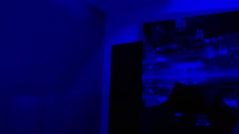 Snapshot of alexgiraldo__ chatting on 05/03/26, 11:05 alexgiraldo__ online show from 05/03/26, 11:05