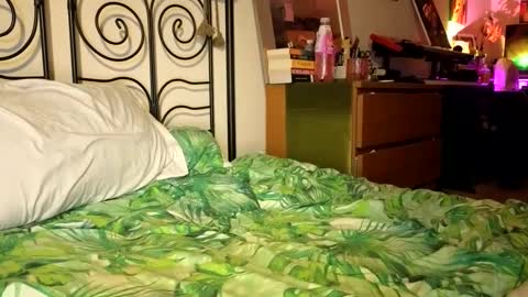 Snapshot of alexrhodesxxx chatting on 12/22/24, 09:31 Alex online show from 12/22/24, 09:31