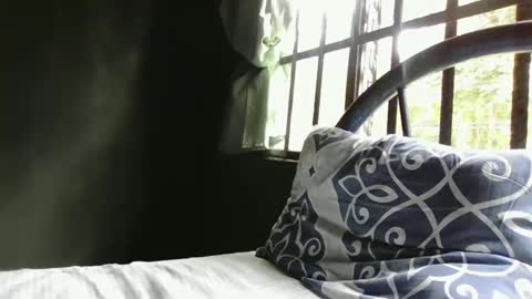 Snapshot of alextico1 chatting on 12/29/24, 05:01 Alex online show from 12/29/24, 05:01