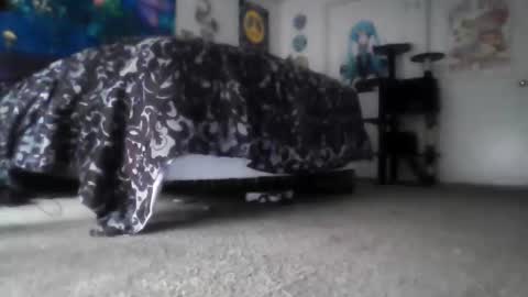 Snapshot of alexvines chatting on 03/14/26, 03:50 Alex Vines online show from 03/14/26, 03:50