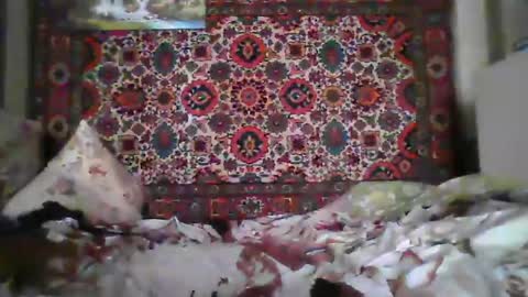 alferezsolvajo online show from 07/22/26, 07:11