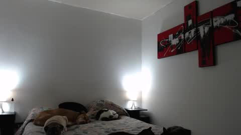 cami online show from 03/12/25, 07:24