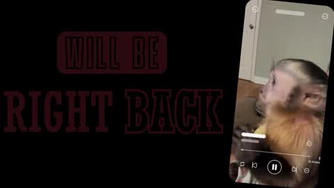 Sofia online show from 03/02/26, 01:07