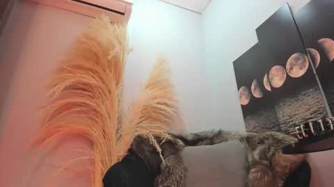 ALICE  online show from 11/11/25, 04:01