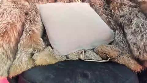 ALICE  online show from 11/20/25, 04:34