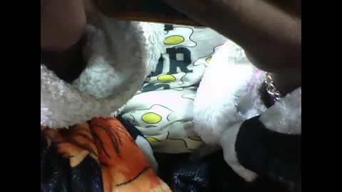 alicia253177 online show from 09/10/25, 06:30