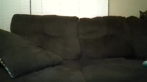 aliendick2274 online show from 02/24/26, 08:23