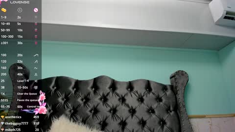 Alice online show from 12/15/24, 11:31