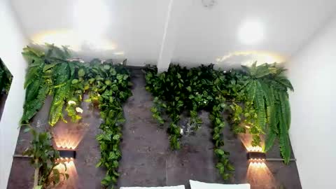 Alice online show from 02/01/26, 06:17