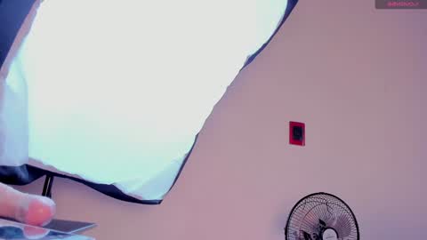 Alice online show from 12/20/24, 12:49