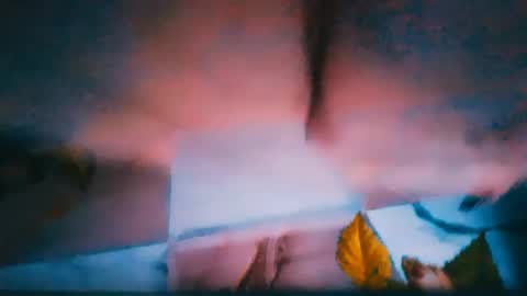 Alina online show from 06/29/26, 03:23