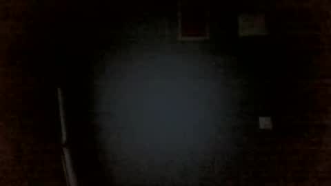 Snapshot of aliprcalica1 chatting on 04/14/26, 11:44 Chris online show from 04/14/26, 11:44