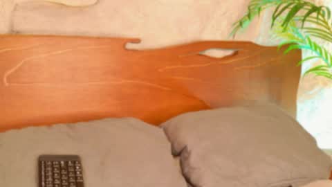 Alison Moon  online show from 04/25/26, 10:29