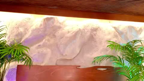 Alison Moon  online show from 06/23/26, 10:30