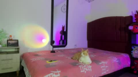 Alisson IG alisson zafiro27 online show from 12/17/24, 09:07