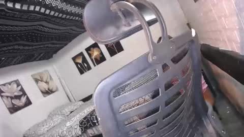 trina online show from 12/16/25, 10:09