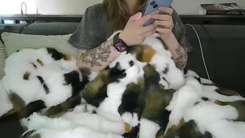 alliebearx online show from 04/28/26, 05:40