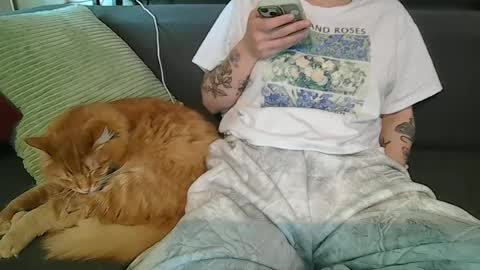 alliebearx online show from 06/27/26, 10:15