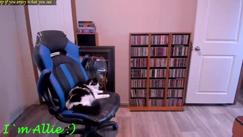 Snapshot of alliekat62 chatting on 12/29/24, 07:22 Allie online show from 12/29/24, 07:22