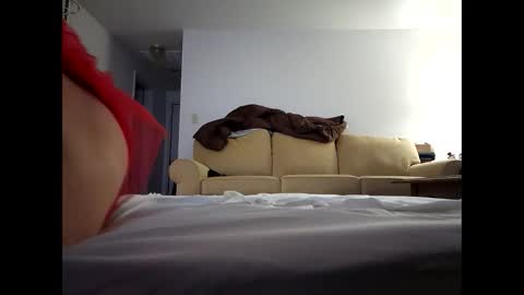 Snapshot of alllursss chatting on 12/20/24, 12:05 alllursss online show from 12/20/24, 12:05