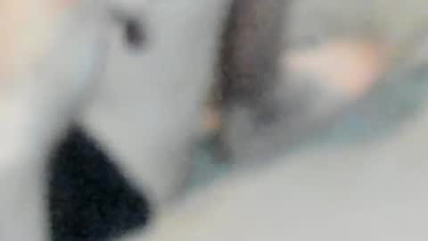 allways395 online show from 10/25/25, 05:04