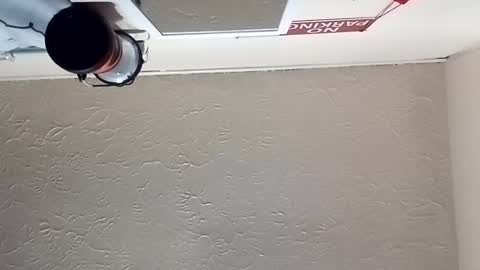 Snapshot of almightyjesos chatting on 10/30/25, 07:14 almightyjesos online show from 10/30/25, 07:14