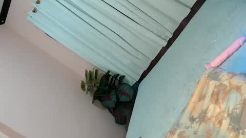 Snapshot of alove_too_last chatting on 02/02/25, 04:43 LEXY online show from 02/02/25, 04:43