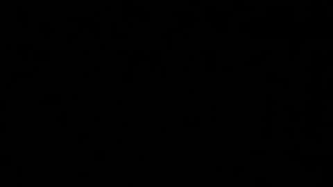 Shelby or if you want to make me purr just call me Kitten  online show from 01/29/25, 05:02