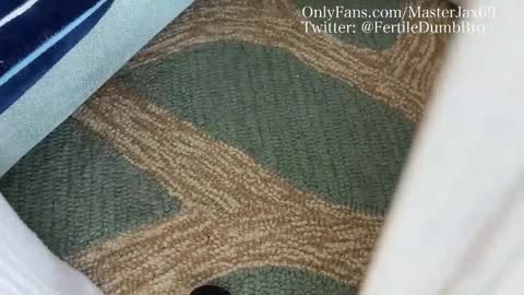 Snapshot of alphamasterjax chatting on 10/27/25, 04:00 MasterJax69 online show from 10/27/25, 04:00