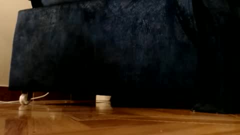 Snapshot of alphaswitchard chatting on 03/01/26, 12:12 ur god online show from 03/01/26, 12:12