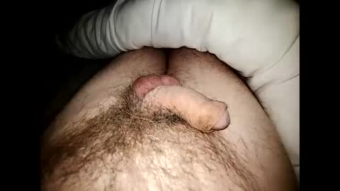 Snapshot of altirando3 chatting on 12/23/24, 11:49 gordy2263 online show from 12/23/24, 11:49