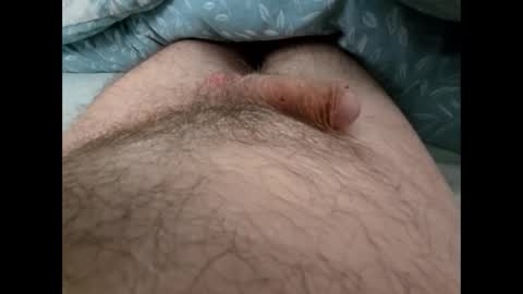 Snapshot of altirando3 chatting on 09/24/25, 12:41 gordy2263 online show from 09/24/25, 12:41