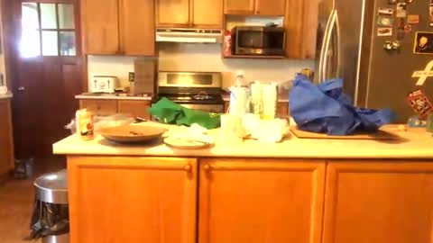 Snapshot of alvie_bones chatting on 01/26/25, 03:03 Alvie online show from 01/26/25, 03:03