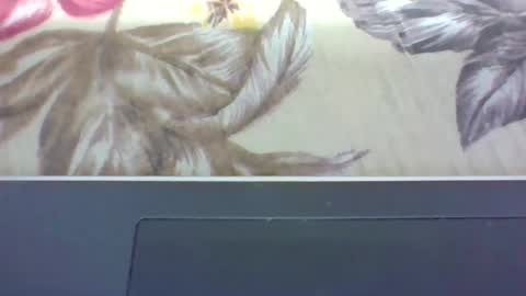 Snapshot of alydie7 chatting on 04/12/26, 04:50 alydie7 online show from 04/12/26, 04:50