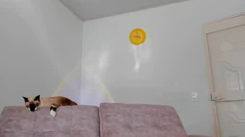 Snapshot of amatiistur chatting on 02/15/25, 08:54 Tammy online show from 02/15/25, 08:54