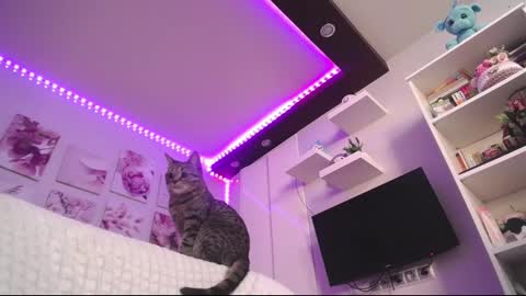 Snapshot of amazing_agness chatting on 02/23/25, 07:00 amazing_agness online show from 02/23/25, 07:00