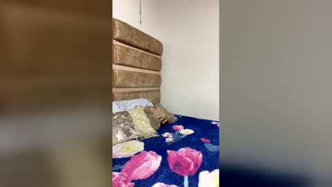 amber_bailey1 online show from 12/17/25, 05:46