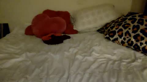 Snapshot of amberloves2write chatting on 02/08/25, 02:58 Amberloves2write aka AmberMyBelle online show from 02/08/25, 02:58