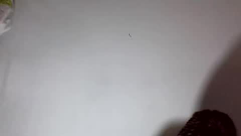 Snapshot of amelisy20005 chatting on 02/22/26, 06:46 amelisy20005 online show from 02/22/26, 06:46