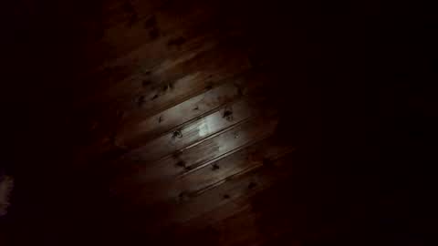 Snapshot of amendolaa536 chatting on 11/25/25, 10:43 amendolaa536 online show from 11/25/25, 10:43