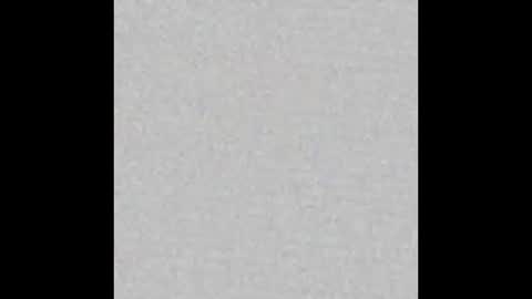 Snapshot of americansteel9791 chatting on 03/29/26, 10:43 americansteel9791 online show from 03/29/26, 10:43