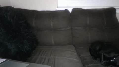 amiri_sweater online show from 03/02/25, 11:39